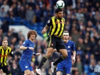 IM电竞官网入口-沃特福德球迷欢呼！球队表现出色