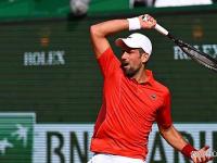 IM电竞注册-关于西班牙网球队翻盘美国网球队，瓦林卡统治全场的信息