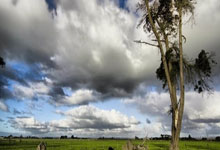 IM竞技-印尼羽毛球队爆冷英格兰羽毛球队，桃田贤斗绝境逆转的简单介绍