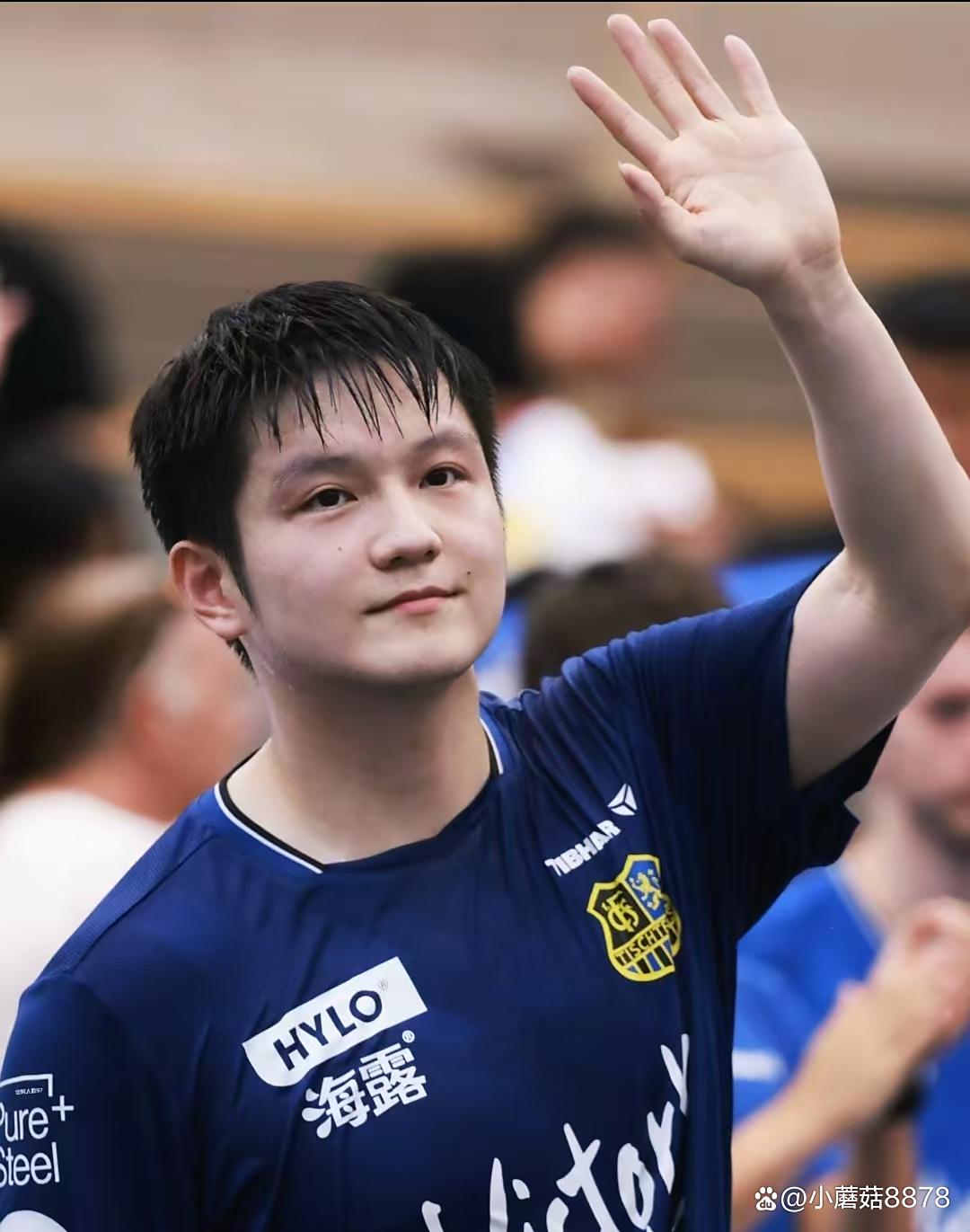 包含奥地利乒乓球队碾压法国乒乓球队，樊振东关键制胜的词条